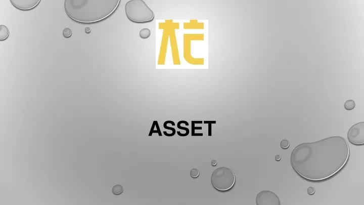 asset