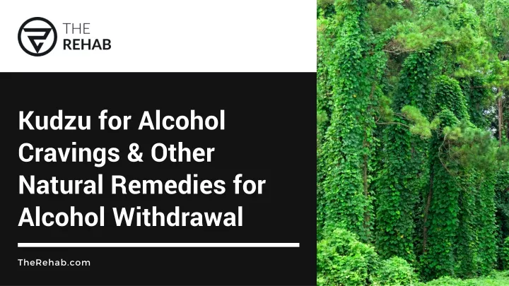 kudzu for alcohol cravings other natural remedies