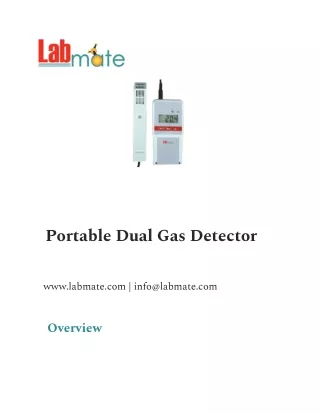 portable dual gas detector