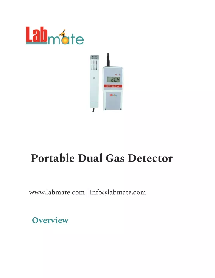 portable dual gas detector