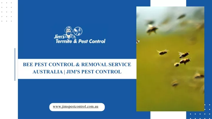 bee pest control removal service australia