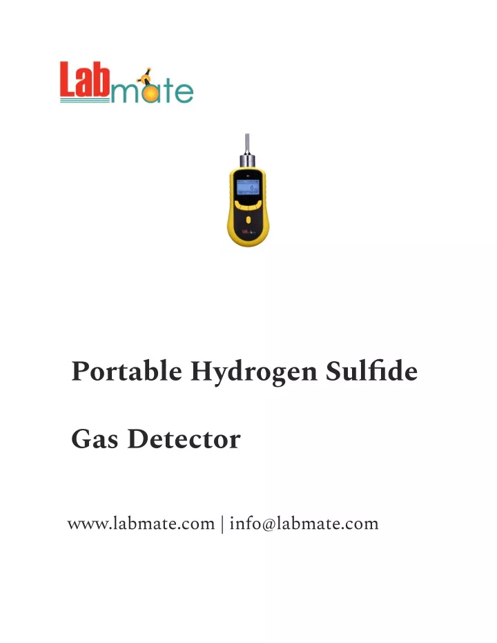 portable hydrogen sulfide