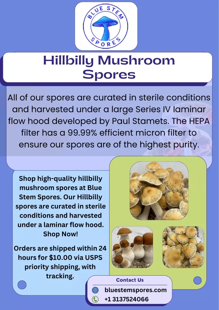hillbilly mushroom spores