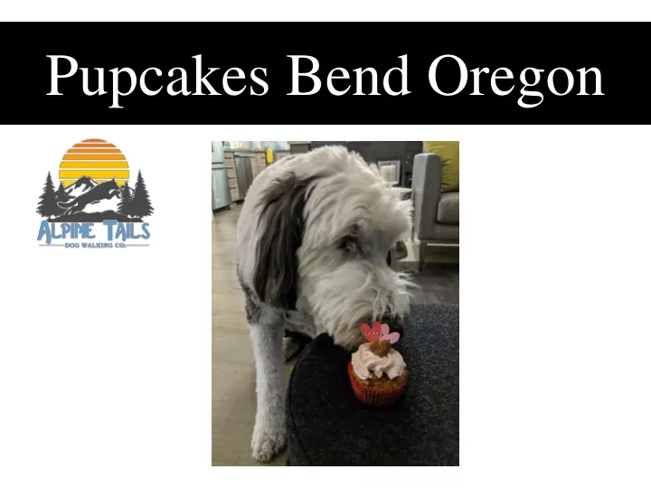 pupcakes bend oregon