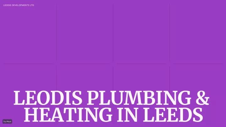 leodis developments ltd