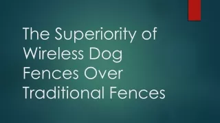The Superiority of Wireless Dog Fences Over Traditional Fences