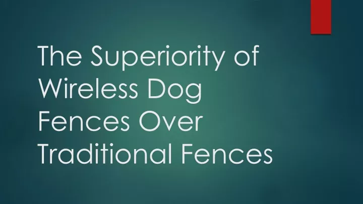 the superiority of wireless dog fences over