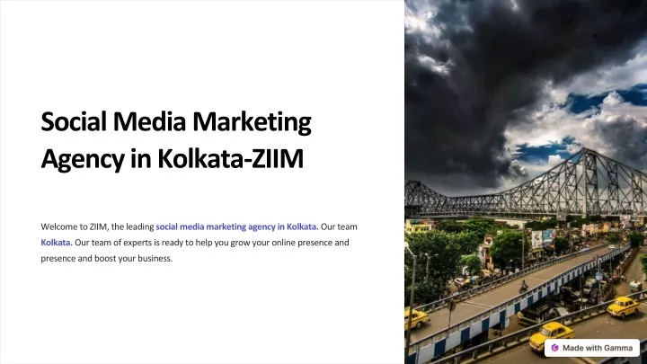 social media marketing agency in kolkata ziim