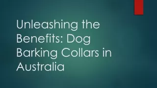 Unleashing the Benefits Dog Barking Collars in Australia