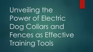 Unveiling the Power of Electric Dog Collars and Fences as Effective Training Tools