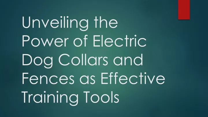 unveiling the power of electric dog collars