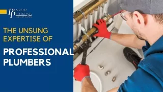 Beyond the Wrench: The Unsung Expertise of Professional Plumbers