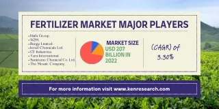 Fertilizer Market Analysis: Decoding Trends, Unveiling Insights