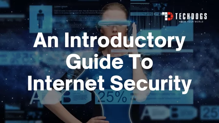 an introductory guide to internet security