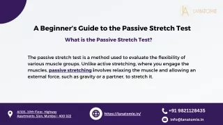 What is the Passive Stretch Test