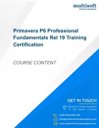 primavera p6 professional fundamentals
