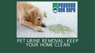 Pet urine removal rug carpet - Removing pet urine from carpets Ottawa