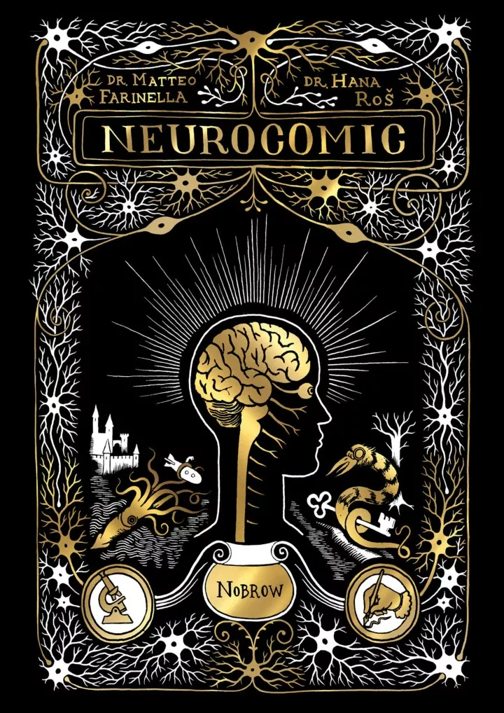 neurocomic a comic about the brain