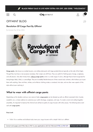 Revolution of fashionable cargo pants