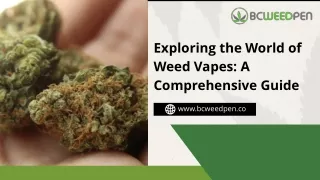The Best Online Weed Vape Shop in Canada