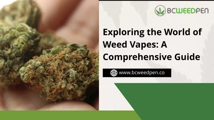 exploring the world of weed vapes a comprehensive