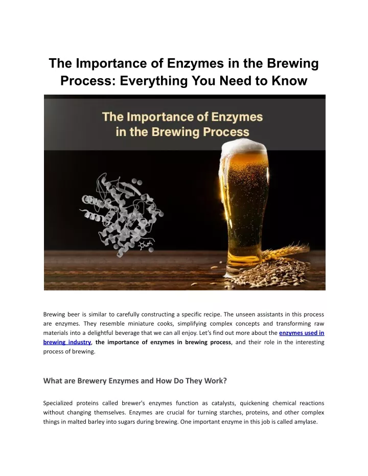 the importance of enzymes in the brewing process