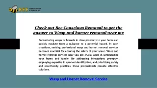 Check out Bee Conscious Removal to get the answer to Wasp and hornet removal nea
