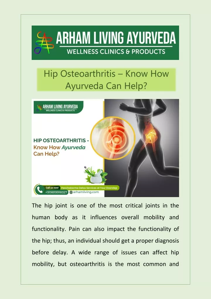 the hip joint is one of the most critical joints