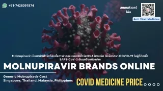Generic Molnupiravir Capsules at Wholesale Price Singapore Thailand Malaysia Philippines