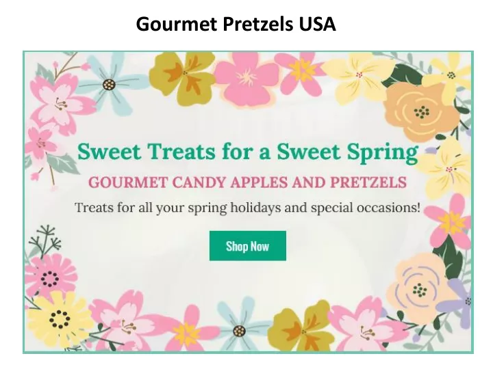 gourmet pretzels usa