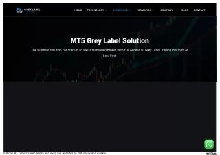 www_greylabelforex_com_mt5-grey-label_