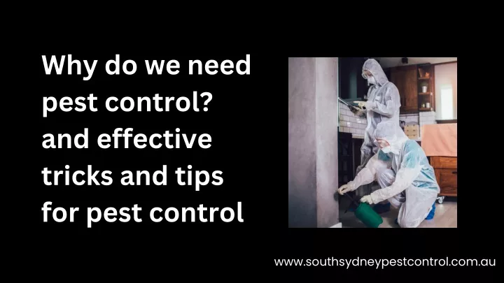 why do we need pest control and effective tricks