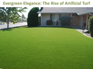 Evergreen Elegance The Rise of Artificial Turf