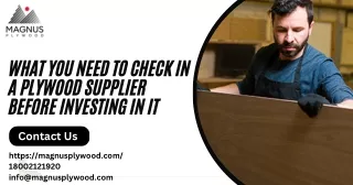 What You Need to Check in a Plywood Supplier Before Investing in It