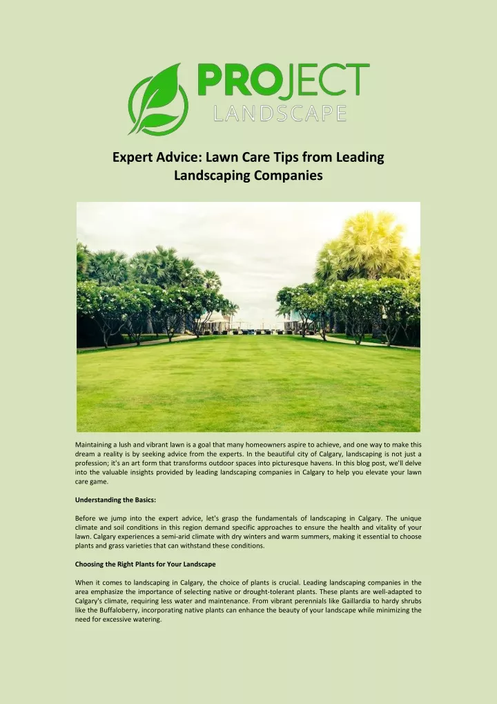 expert advice lawn care tips from leading