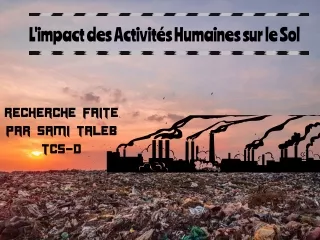 les activites humaines