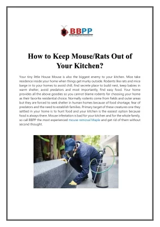 How to Keep Mouse/Rats Out of Your Kitchen?