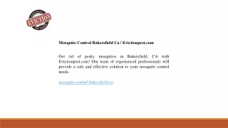 Mosquito Control Bakersfield Ca | Evictionpest.com