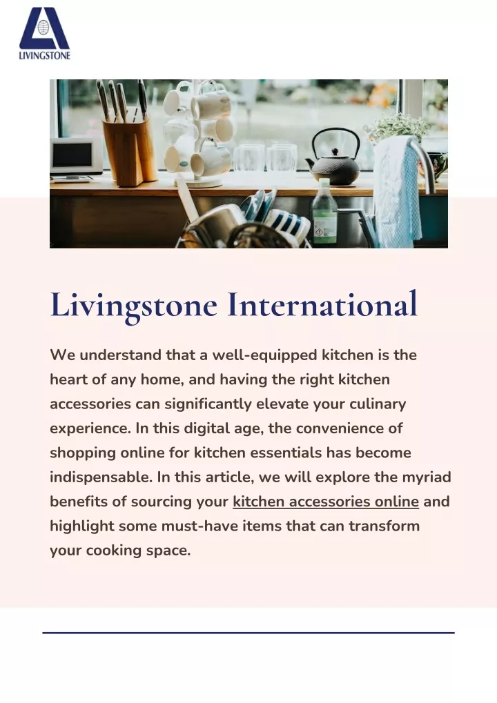 livingstone international