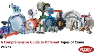 A Comprehensive Guide to Different Types of Crane Valves