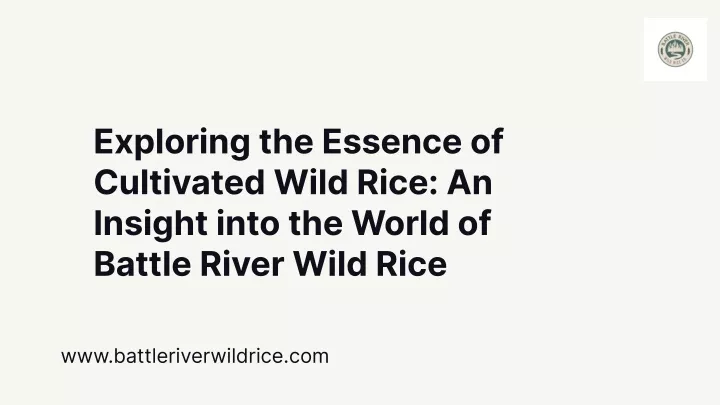 exploring the essence of cultivated wild rice