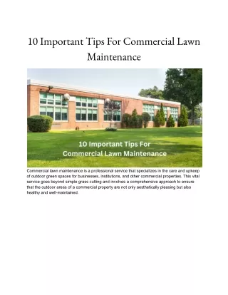 10 Important Tips For Commercial Lawn Maintenance