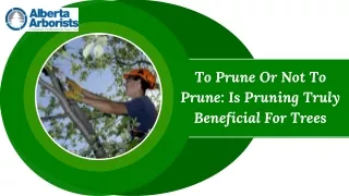 To Prune Or Not To Prune Is Pruning Truly Beneficial For Trees