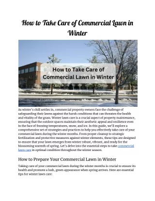 How to Take Care of Commercial Lawn in Winter