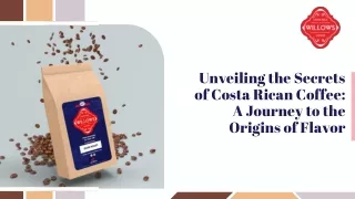 Unveiling the Secrets of Costa Rican Coffee A Journey to the Origins of Flavor