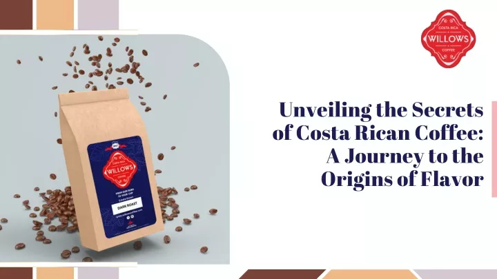 unveiling the secrets of costa rican coffee