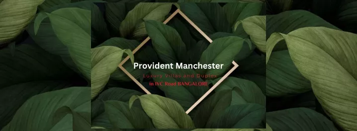 provident manchester