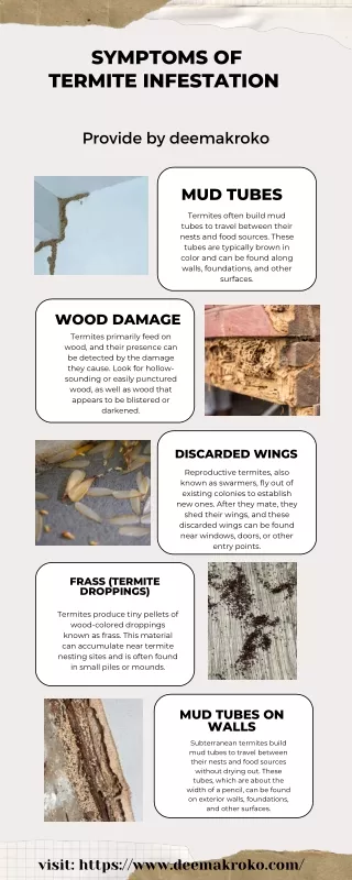 Symptoms of Termite Infestation