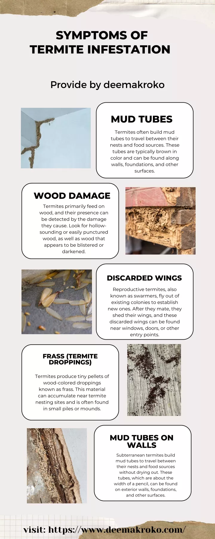 symptoms of termite infestation