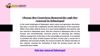 Choose Bee Conscious Removal for safe bee removal in Sebastopol